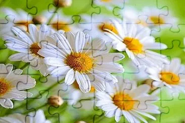 OK jigsaw puzzle