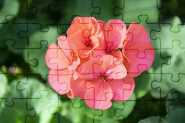 OK jigsaw puzzle