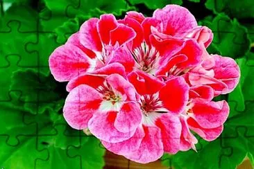OK jigsaw puzzle