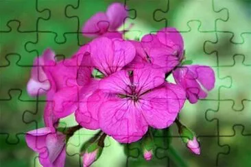 OK jigsaw puzzle