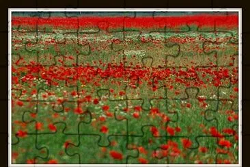papaveri jigsaw puzzle