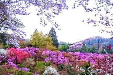 imagem jigsaw puzzle