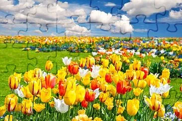 OK jigsaw puzzle