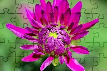 OK jigsaw puzzle