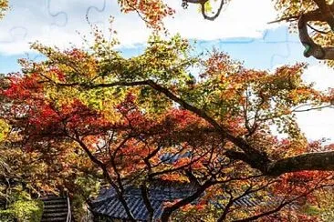 imagem jigsaw puzzle