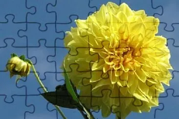 OK jigsaw puzzle