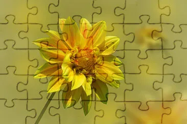 OK jigsaw puzzle