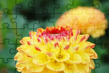 OK jigsaw puzzle