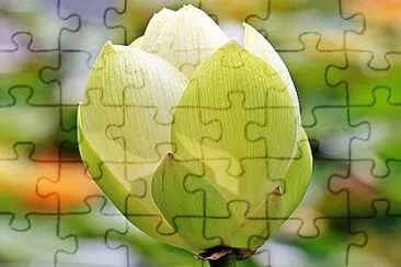 OK jigsaw puzzle