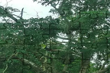 FAUNA EN CANCUN