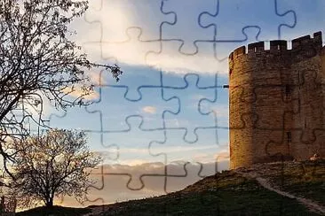 fort