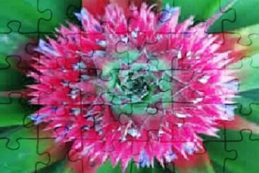 OK jigsaw puzzle