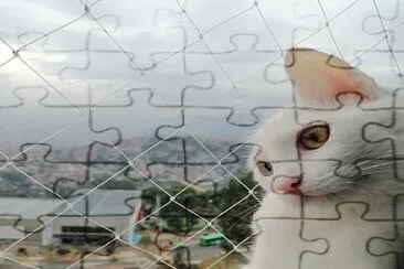 gata jigsaw puzzle