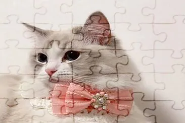 imagem jigsaw puzzle