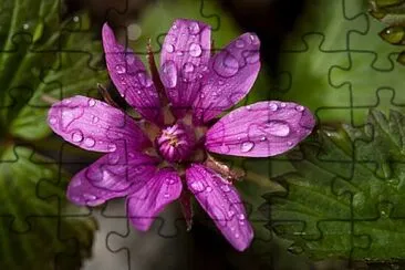 OK jigsaw puzzle