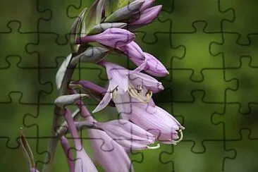 OK jigsaw puzzle