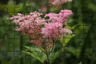 OK jigsaw puzzle