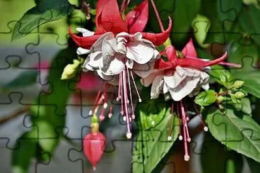 OK jigsaw puzzle