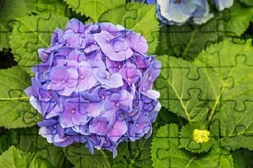 OK jigsaw puzzle