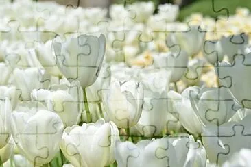 OK jigsaw puzzle