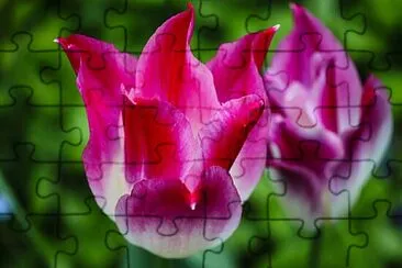 OK jigsaw puzzle