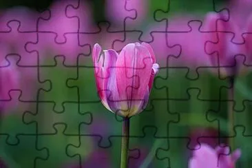OK jigsaw puzzle