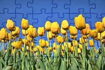 OK jigsaw puzzle