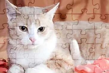 Imagem jigsaw puzzle