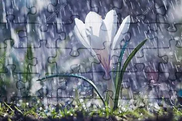 OK jigsaw puzzle