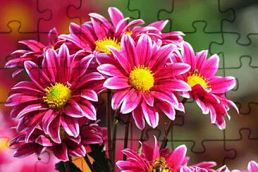 OK jigsaw puzzle