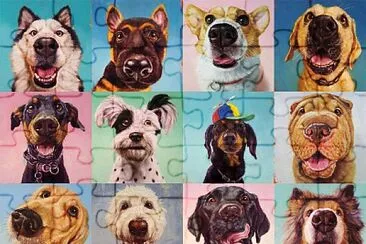 good boys jigsaw puzzle