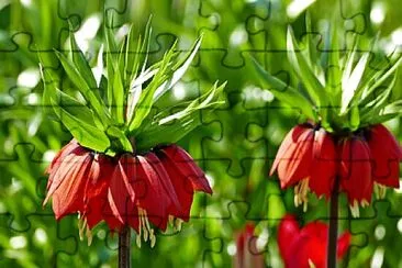 OK jigsaw puzzle