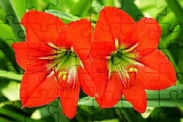 OK jigsaw puzzle