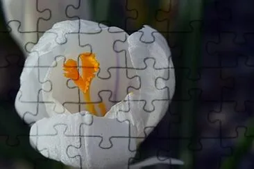 OK jigsaw puzzle