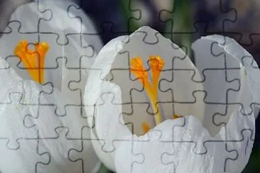 OK jigsaw puzzle