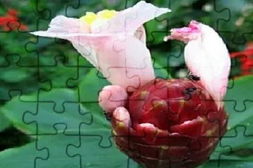 OK jigsaw puzzle