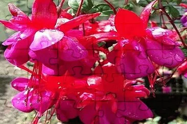 OK jigsaw puzzle