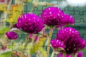 OK jigsaw puzzle