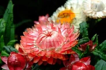 OK jigsaw puzzle