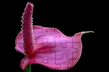 OK jigsaw puzzle