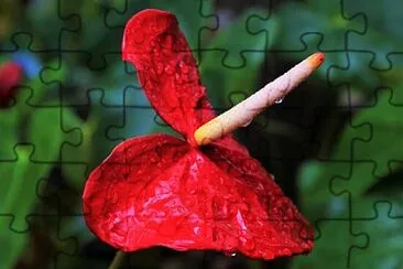 OK jigsaw puzzle