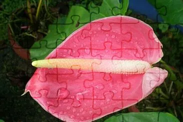 OK jigsaw puzzle