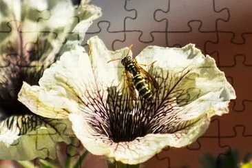 OK jigsaw puzzle