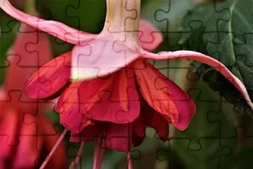 OK jigsaw puzzle