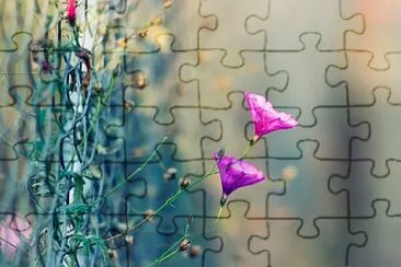 OK jigsaw puzzle