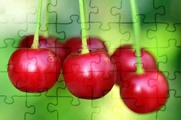 Toy jigsaw puzzle