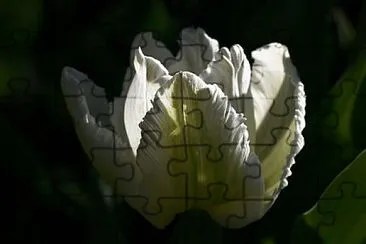 OK jigsaw puzzle