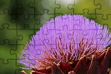 OK jigsaw puzzle