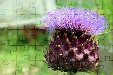 OK jigsaw puzzle