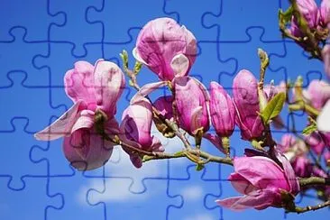 OK jigsaw puzzle